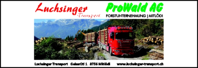 Luchsinger Transport AG